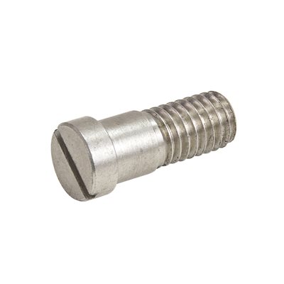 Face Plate Screw - Lower